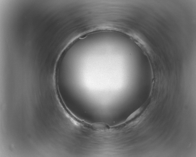 X0000069800902200605191101