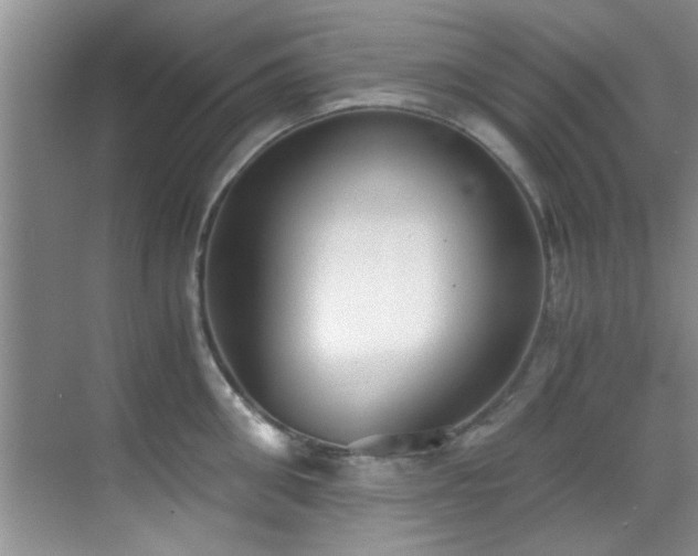 X0000069800906200605191101