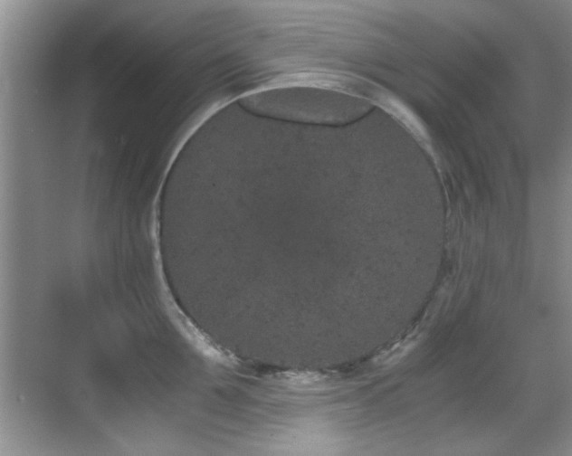X0000069800907200605191101