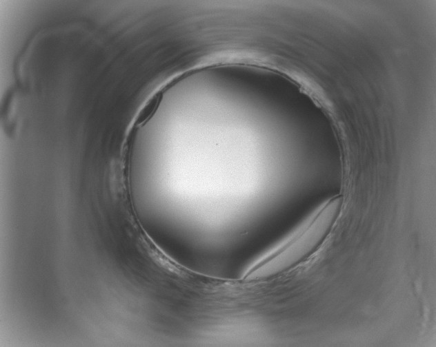 X0000069800912200605191101