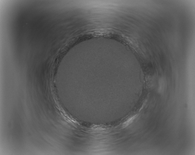 X0000069800913200605191100