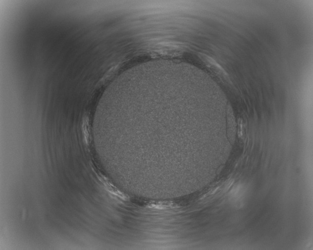X0000069800915200605191100