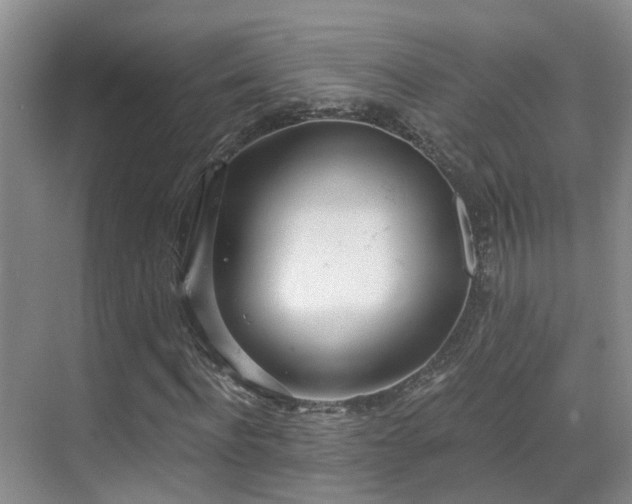 X0000069800916200605191100