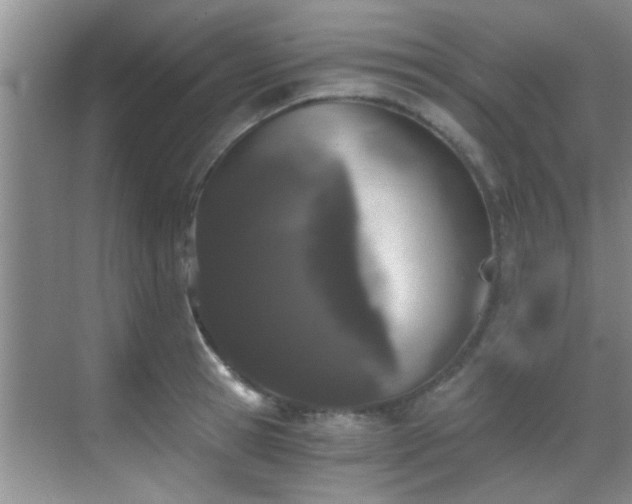 X0000069800945200605191101
