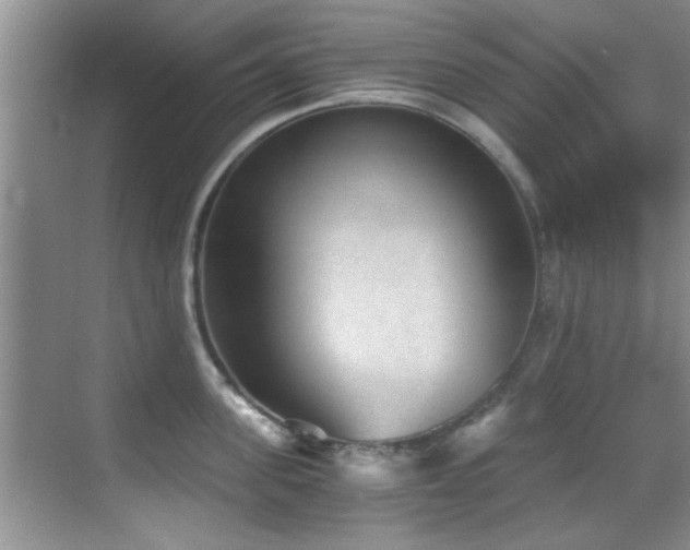 X0000069800955200605191101