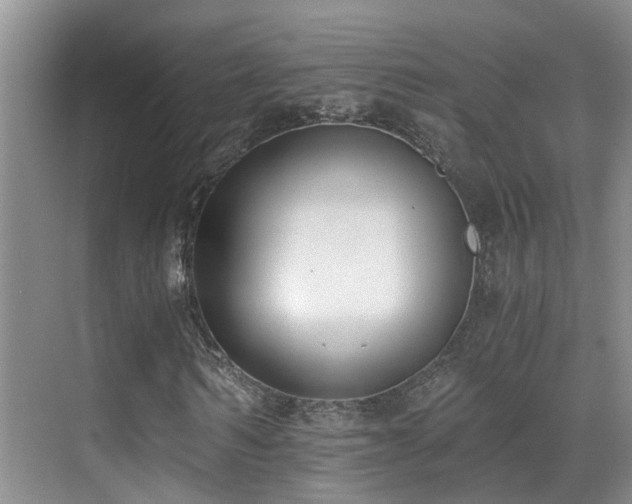 X0000069800962200605191100