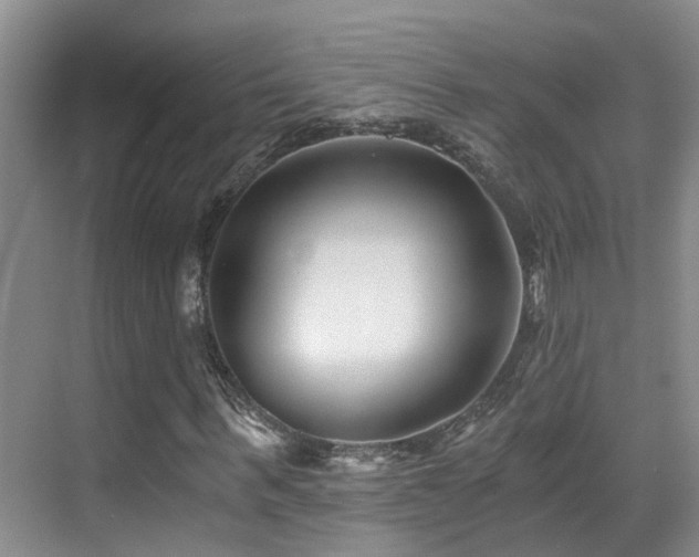X0000069800963200605191100