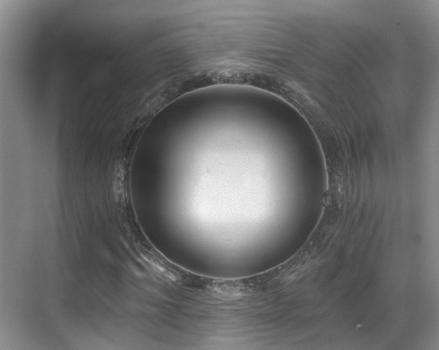 X0000069800964200605191100
