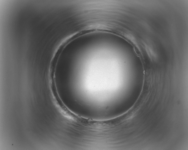 X0000069800987200605191100