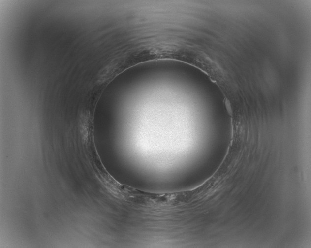 X0000069801012200605191059