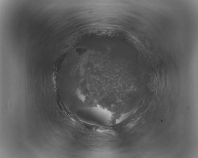 X0000069801013200605191059
