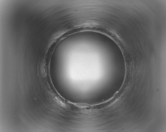 X0000069801018200605191059