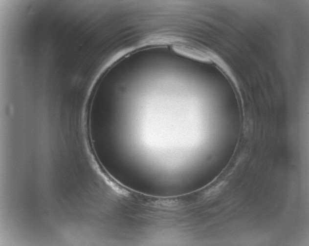 X0000069801053200605191059