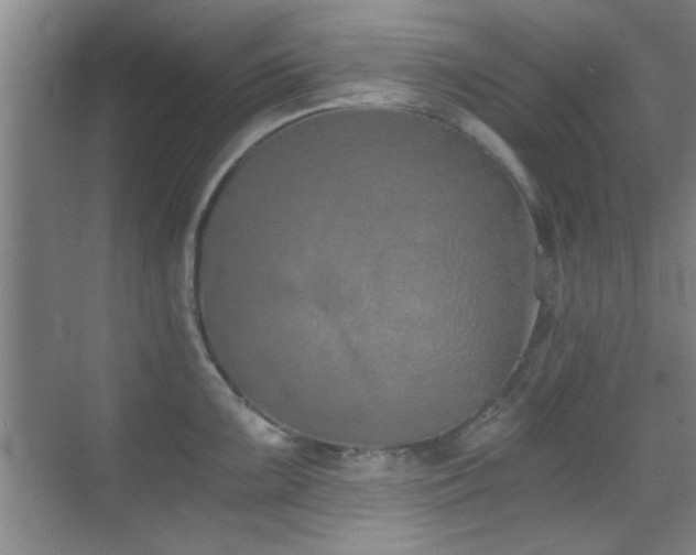 X0000069801099200605191058