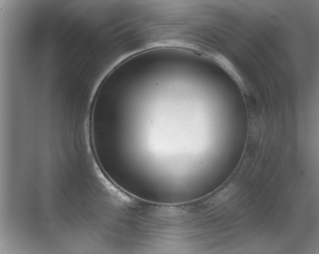 X0000069801100200605191058