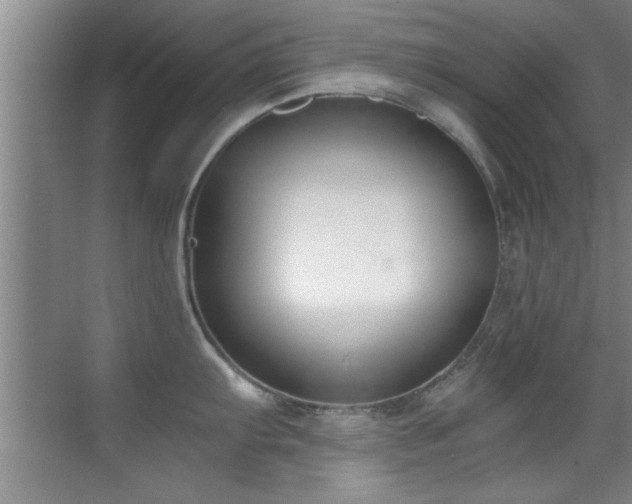 X0000069801103200605191058
