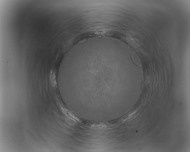 X0000069801106200605191057