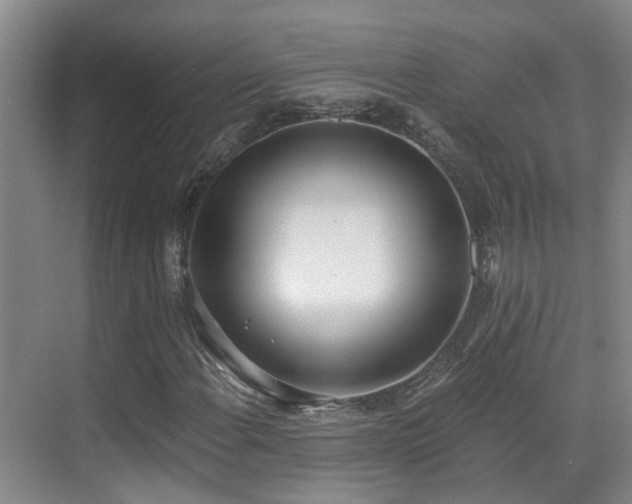 X0000069801108200605191057