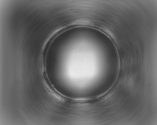 X0000069801123200605191057