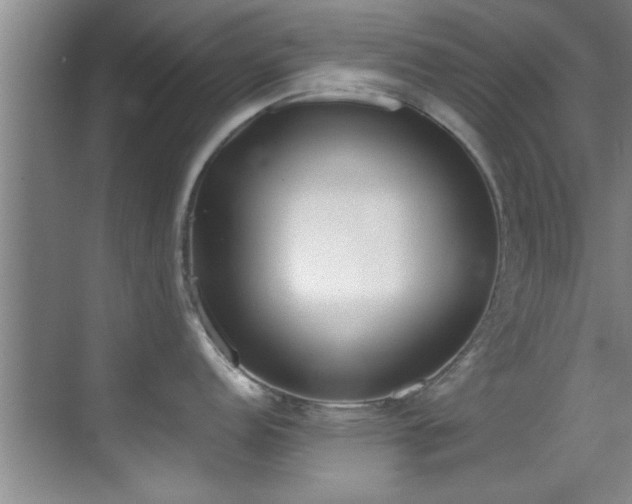 X0000069801152200605191058
