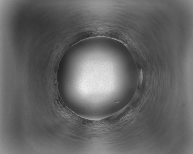 X0000069801153200605191057