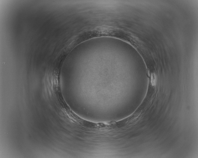 X0000069801155200605191057