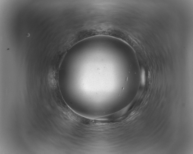 X0000069801156200605191057