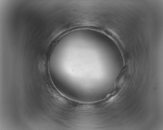 X0000069801163200605191057