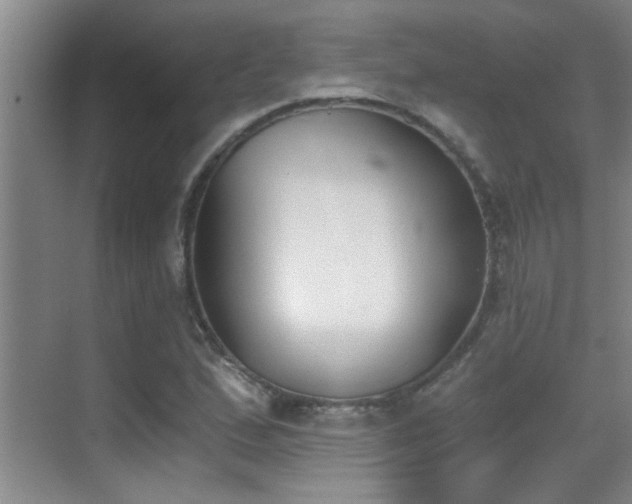 X0000069801167200605191057