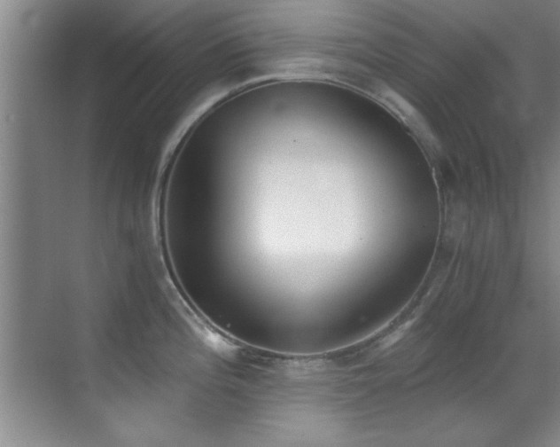 X0000069801196200605191056