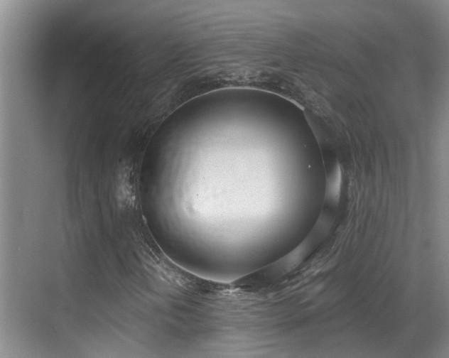 X0000069801202200605191055