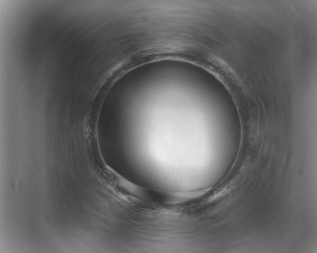 X0000069801210200605191055