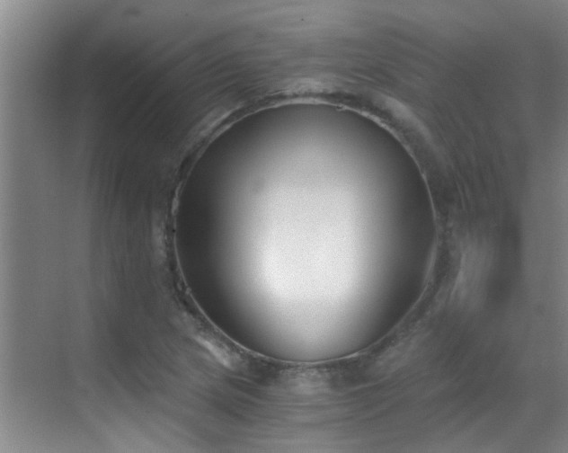 X0000069801217200605191055