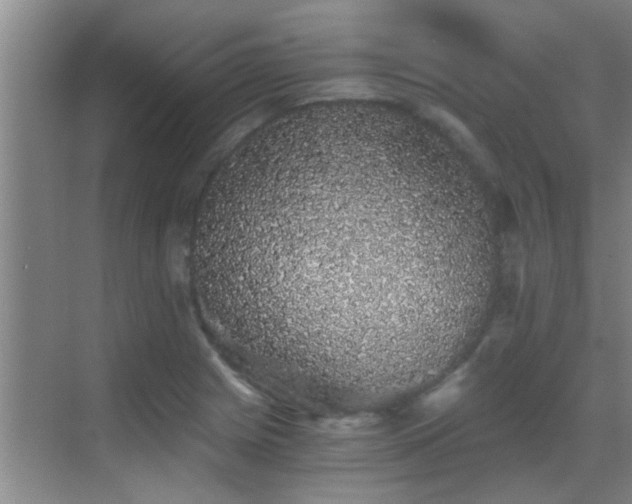X0000069801225200605191056