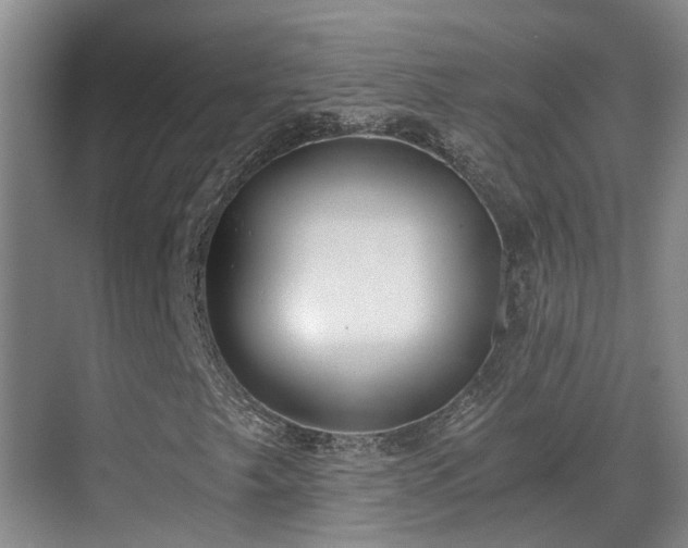 X0000069801249200605191055