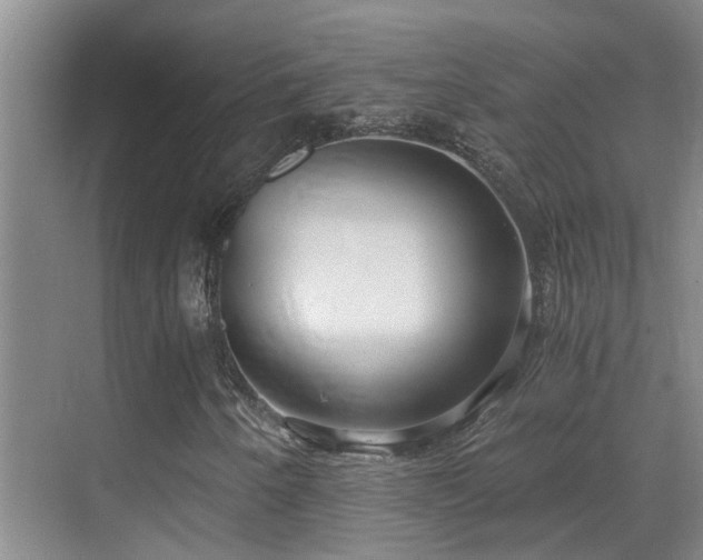 X0000069801250200605191055