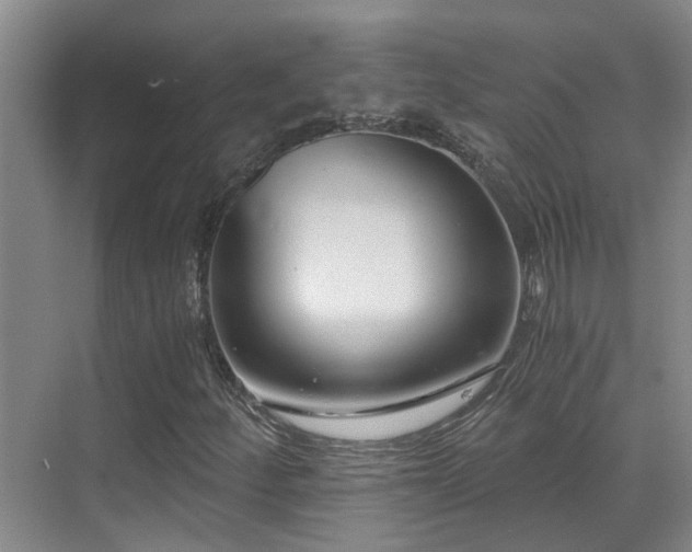 X0000069801252200605191055