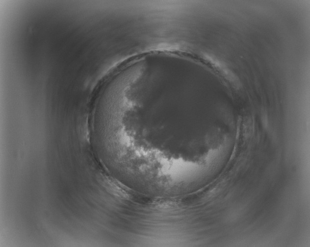 X0000069801262200605191055