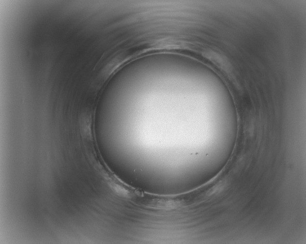 X0000069801273200605191055