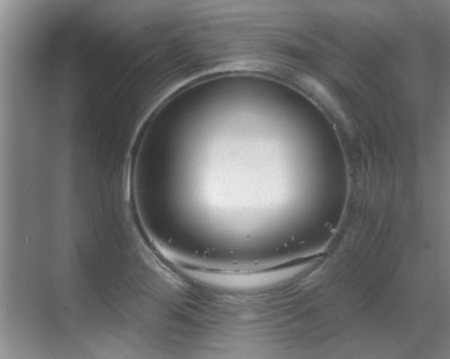 X0000069801276200605191055