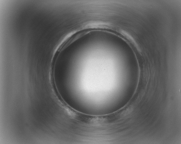 X0000069801277200605191055