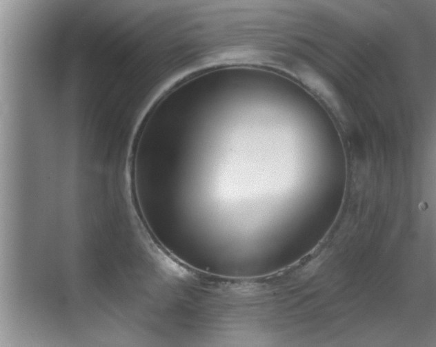 X0000069801288200605191055