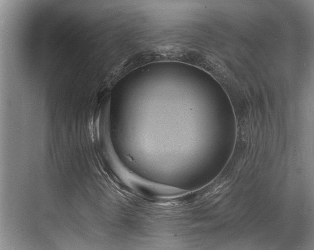 X0000069801298200605191054