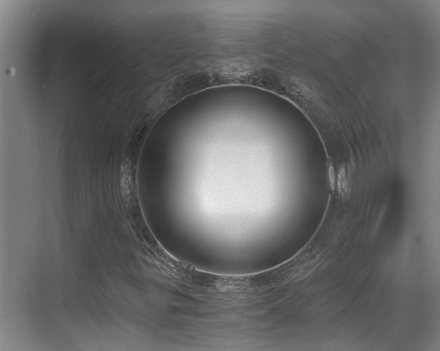 X0000069801299200605191054