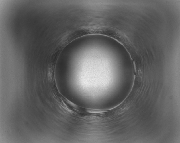 X0000069801300200605191054