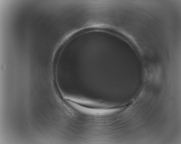 X0000069801319200605191054
