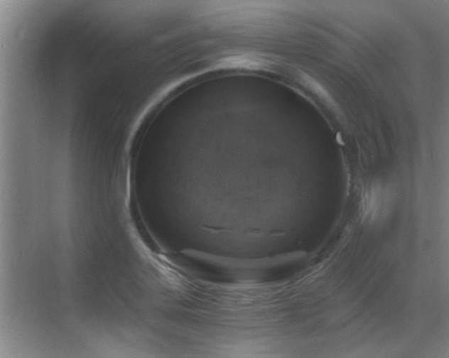 X0000069801323200605191054