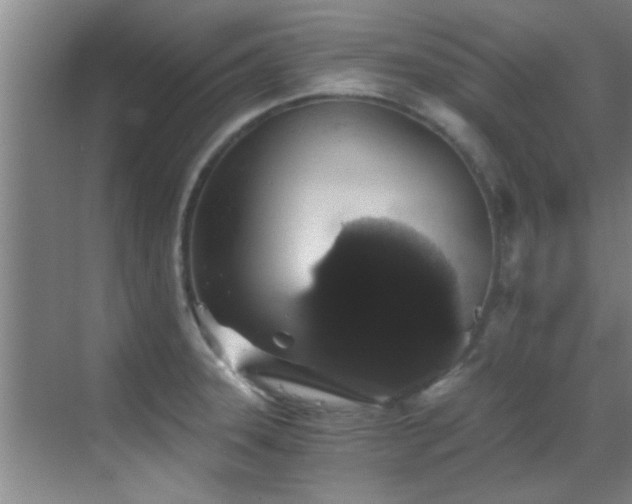X0000069801331200605191054