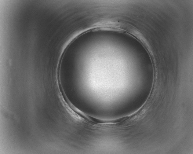 X0000069801344200605191054