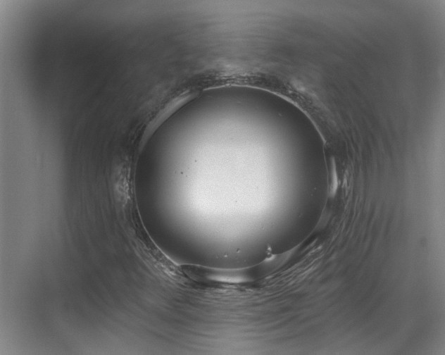 X0000069801348200605191054